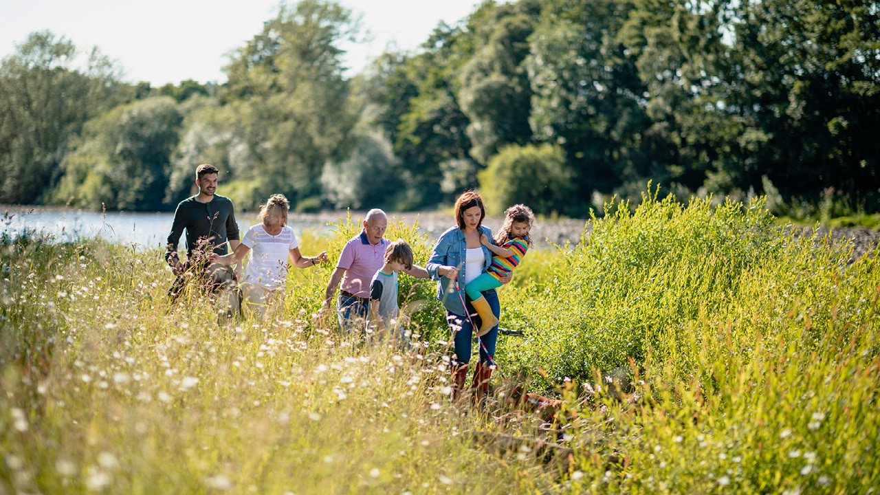 Estate planning for blended families