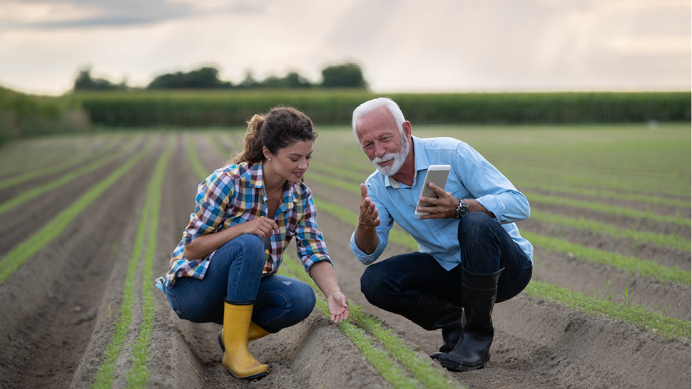 Projet de loi C-208 – la nouvelle loi assouplit les règles fiscales limitant la vente aux enfants de petites entreprises ou de sociétés agricoles ou de pêche